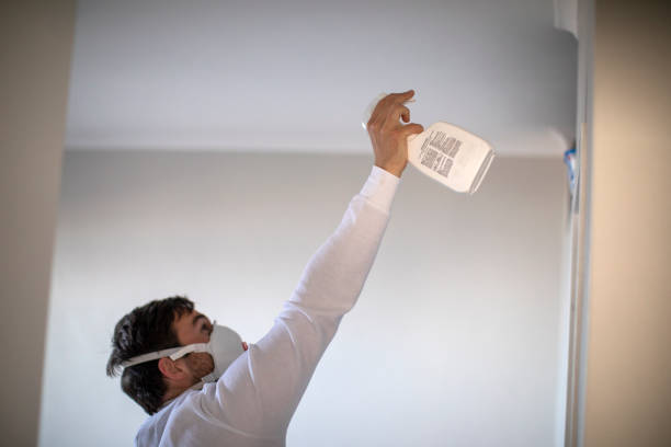 Best Mold Removal Process  in Central, SC