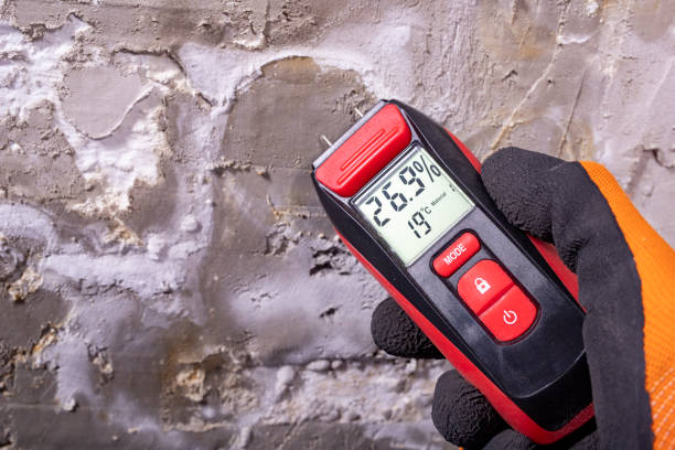 Mold Removal Process in Central, SC