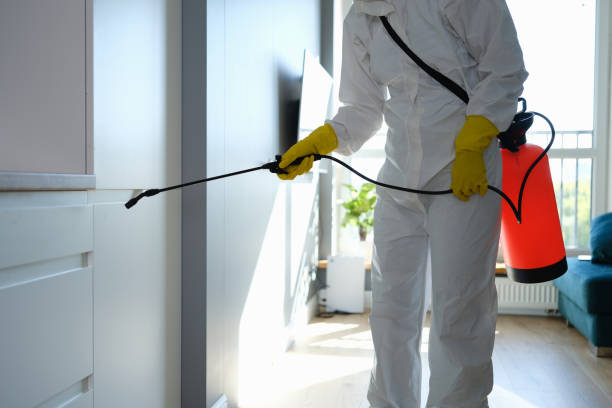 Best Home Mold Removal  in Central, SC