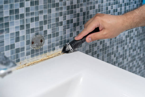 Mold Removal and Inspection in Central, SC