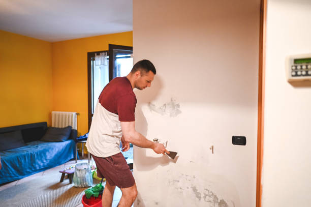 Best Black Mold Removal  in Central, SC