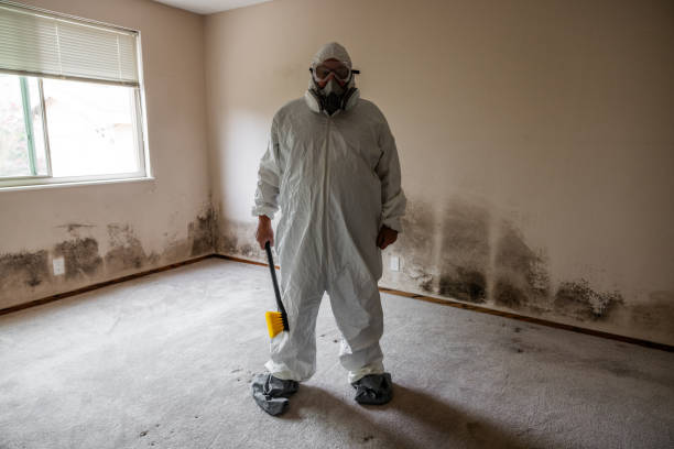 Best Attic Mold Removal  in Central, SC
